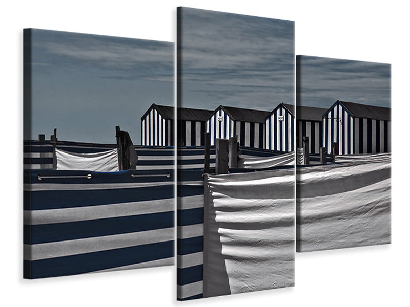 modern-3-piece-canvas-print-territorial-behavior