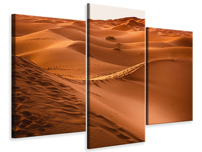 modern-3-piece-canvas-print-traces-in-the-desert