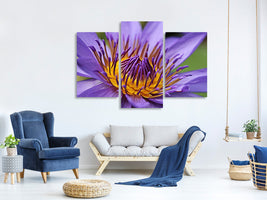 modern-3-piece-canvas-print-xxl-water-lily-in-purple