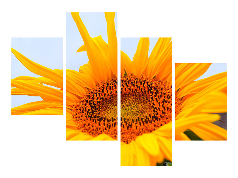modern-4-piece-canvas-print-big-sunflower