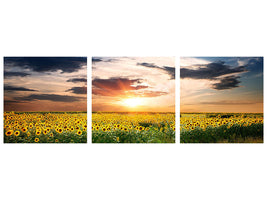 panoramic-3-piece-canvas-print-a-field-of-sunflowers