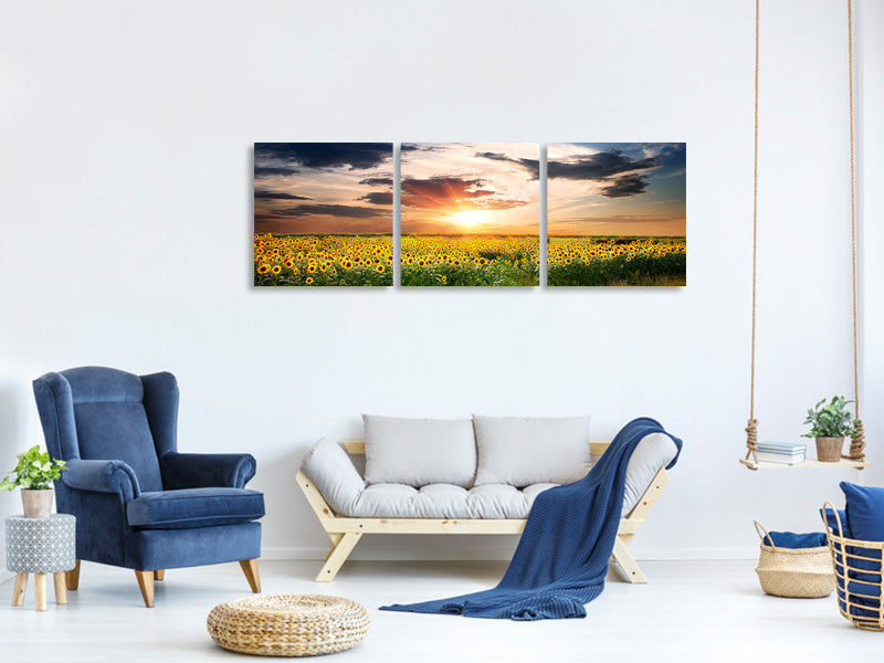 panoramic-3-piece-canvas-print-a-field-of-sunflowers