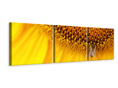 panoramic-3-piece-canvas-print-close-up-yellow-bud