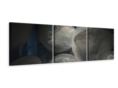panoramic-3-piece-canvas-print-eerie-jellyfish