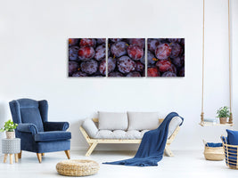 panoramic-3-piece-canvas-print-fresh-plums