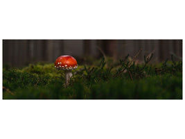 panoramic-canvas-print-a-mushroom-in-the-forest