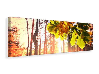 panoramic-canvas-print-autumn