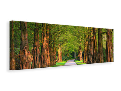 panoramic-canvas-print-beautiful-avenue-in-nature