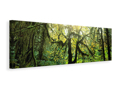 panoramic-canvas-print-dreamy-forest