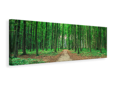 panoramic-canvas-print-pine-forests