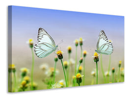 3-piece-canvas-print-2-butterflies