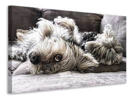 3-piece-canvas-print-2-cute-dogs
