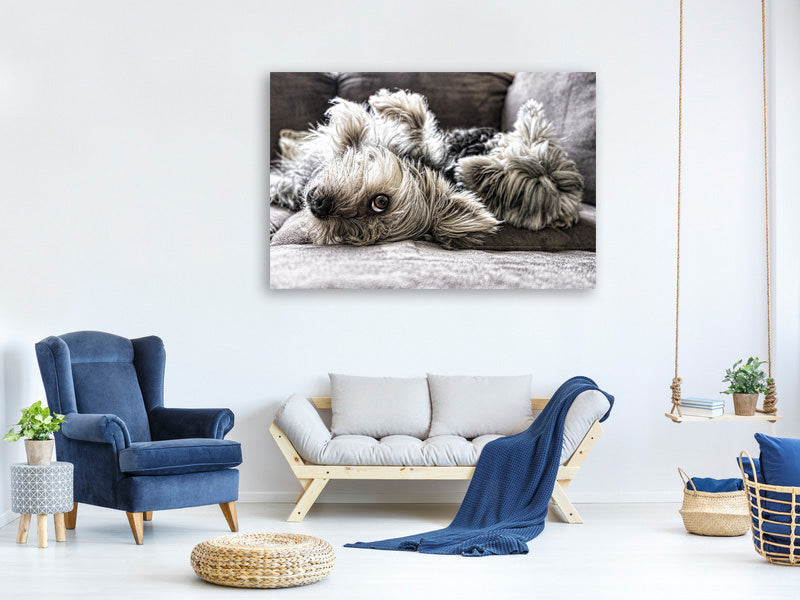 3-piece-canvas-print-2-cute-dogs