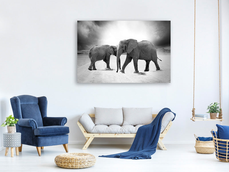 3-piece-canvas-print-2-elephants-sw