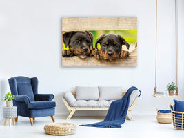 3-piece-canvas-print-2-rottweiler-puppies