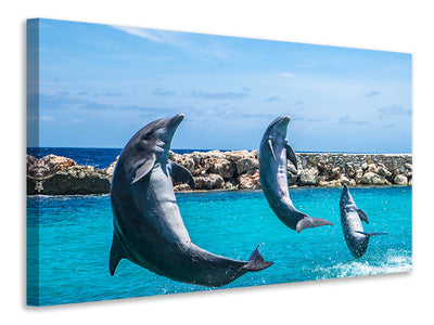 3-piece-canvas-print-3-dolphins