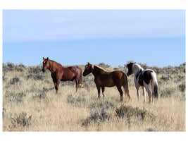 3-piece-canvas-print-3-horses-in-nature
