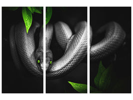 3-piece-canvas-print-attention-snake