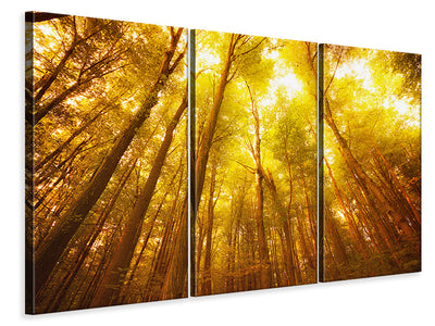 3-piece-canvas-print-autumn-forest