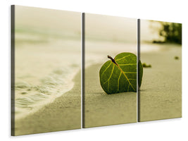 3-piece-canvas-print-beach-leaf
