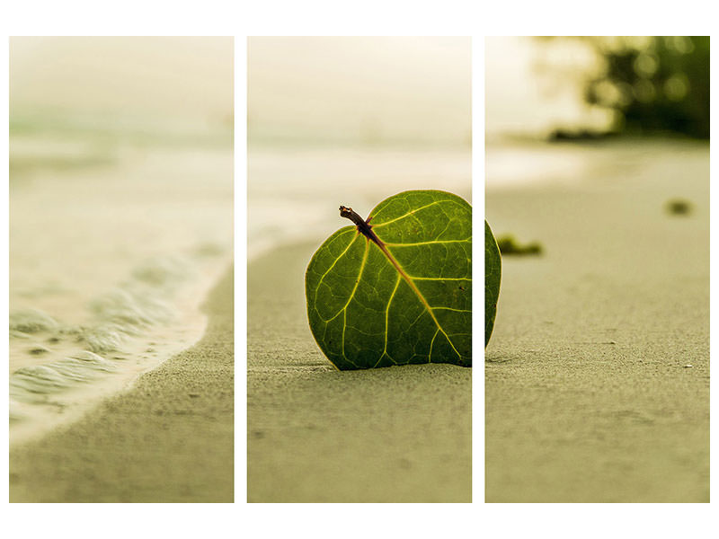 3-piece-canvas-print-beach-leaf