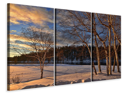 3-piece-canvas-print-birches-in-the-winter