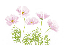 3-piece-canvas-print-cosmos-cupcake