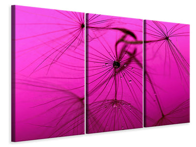 3-piece-canvas-print-dandelion-in-pink