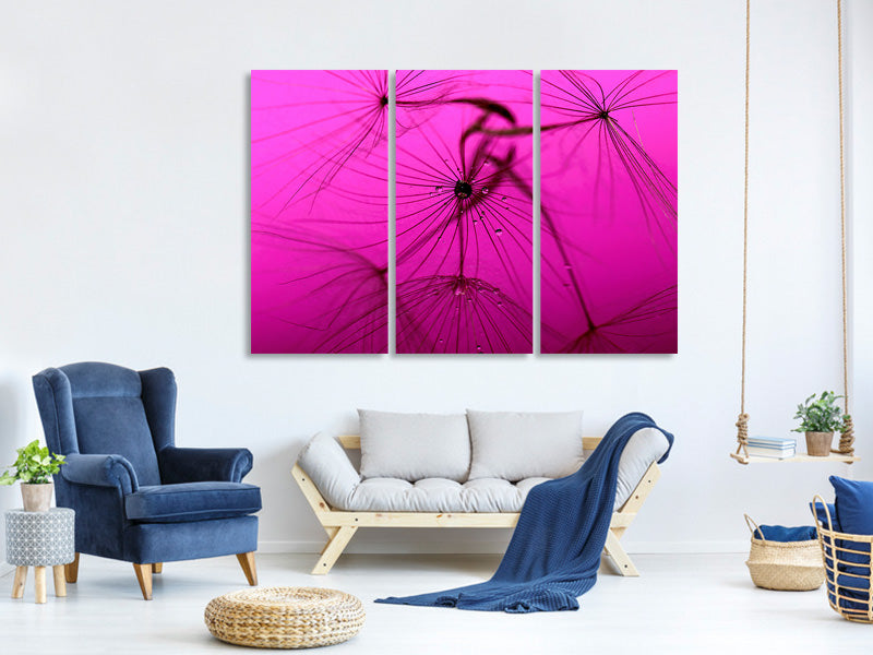 3-piece-canvas-print-dandelion-in-pink