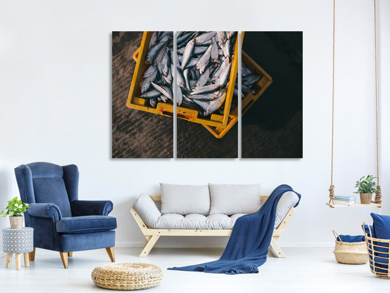 3-piece-canvas-print-fish-in-boxes