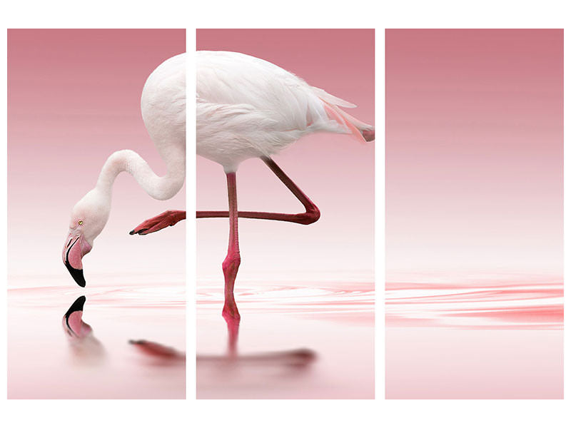 3-piece-canvas-print-flamingo