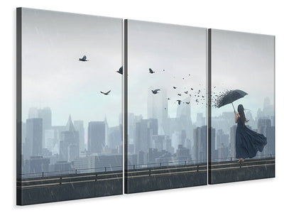 3-piece-canvas-print-fly-away