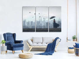 3-piece-canvas-print-fly-away