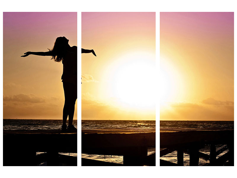 3-piece-canvas-print-freedom-by-the-sea