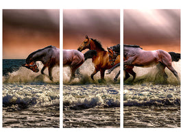 3-piece-canvas-print-freedom-for-horses