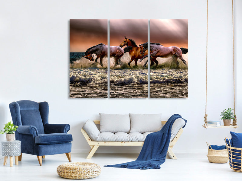 3-piece-canvas-print-freedom-for-horses