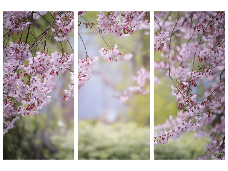 3-piece-canvas-print-in-the-beautiful-spring