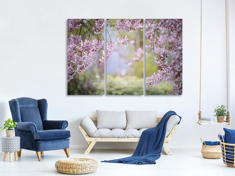 3-piece-canvas-print-in-the-beautiful-spring
