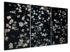 3-piece-canvas-print-just-some-jellies