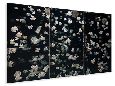 3-piece-canvas-print-just-some-jellies