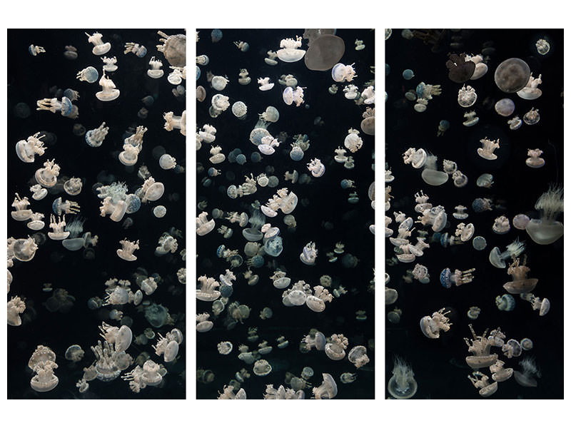 3-piece-canvas-print-just-some-jellies