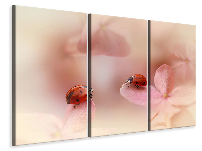 3-piece-canvas-print-ladybirds-on-pink-hydrangea