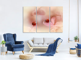 3-piece-canvas-print-ladybirds-on-pink-hydrangea
