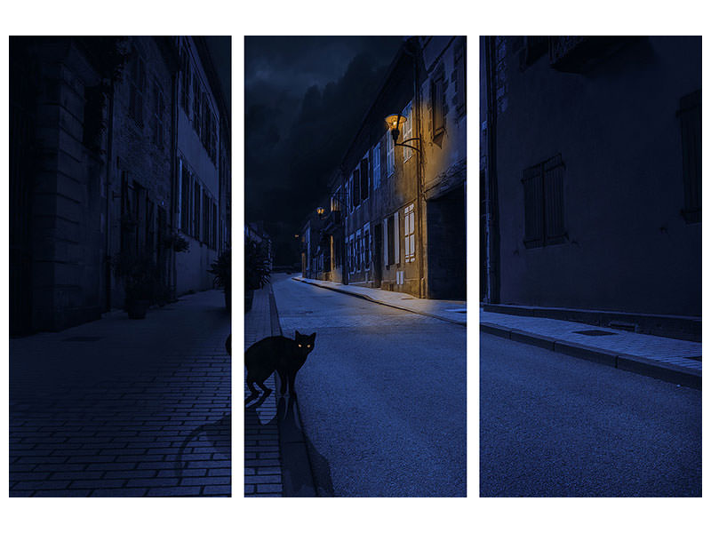 3-piece-canvas-print-le-chat-noir