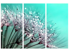 3-piece-canvas-print-macro-dandelion-p