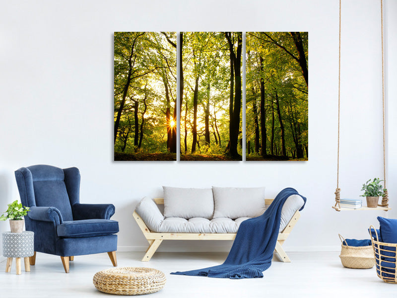 3-piece-canvas-print-sunset-between-trees