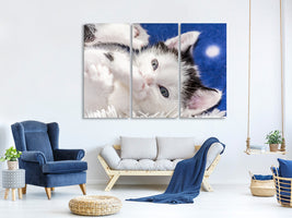 3-piece-canvas-print-sweet-kitten