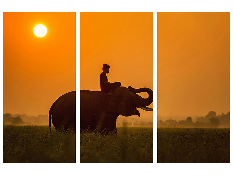 3-piece-canvas-print-the-holy-elephant