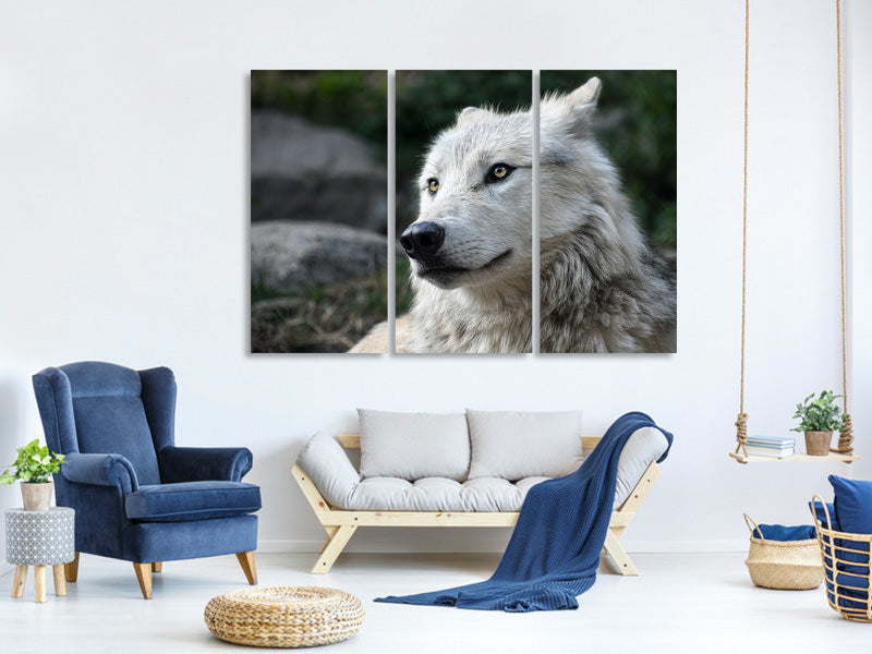 3-piece-canvas-print-the-lonely-wolf