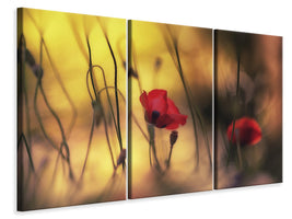 3-piece-canvas-print-untitled-xvi-p